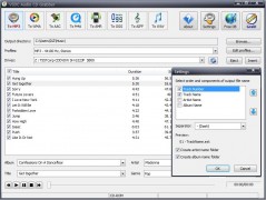 VSDC Free Audio CD Grabber :: grabbing settings