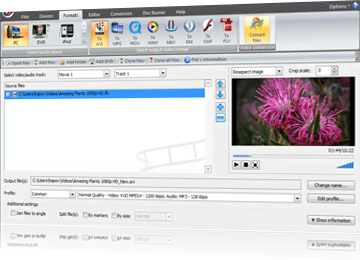 Video Converter software