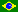 Português