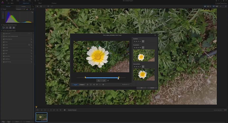 ColorDirector provides comprehensive tools for cinematic video transformation, including color correction, enhancement, and styling.