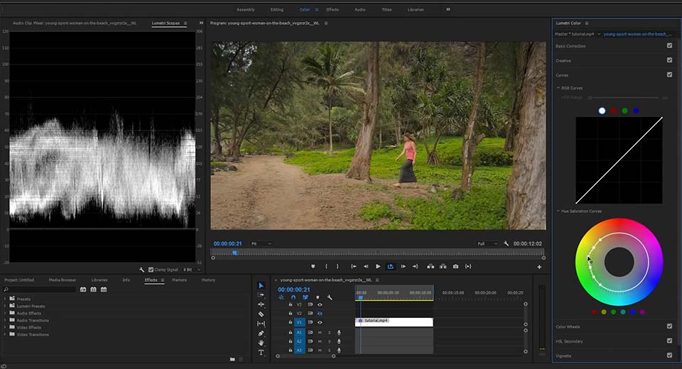 Adobe Premiere Pro is globally popular for its extensive professional-grade color correction tools for advanced users. 