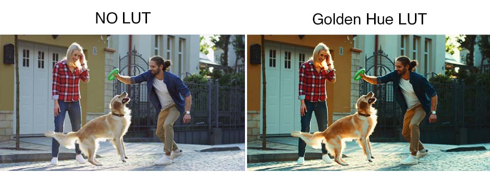 The Result Before/After Using the LUT. Using the “Golden Hue” Template