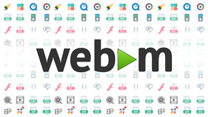 web-m format