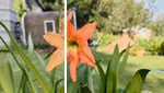 GoPro vs Insta360 color comparison: Rec.709 (standard dynamic range) vs Rec.2020 (HDR video performance in bright sunlight)